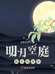 明月如镜是什么意思