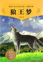 狼王梦简笔画