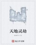 天地劫 灵韵石