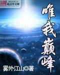 唯我巅峰 雾外江山