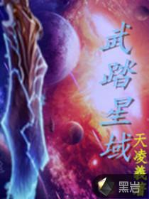 武踏星河笔趣阁
