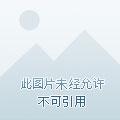 幻世梵天哪个软件能看