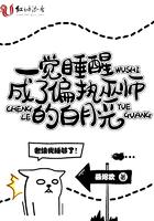 我成了白月光作者pander