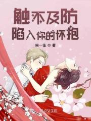 触及不及的下一句是什么